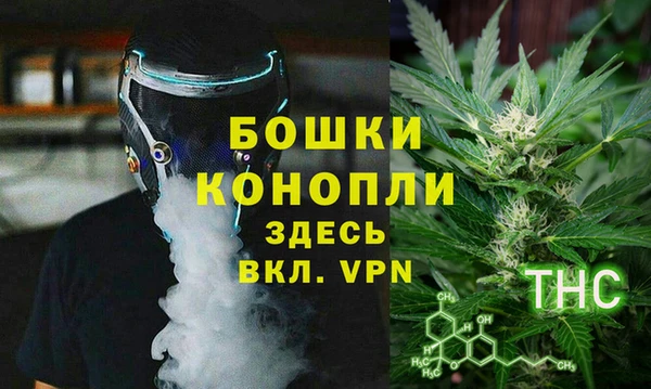 прущие грибы Инта