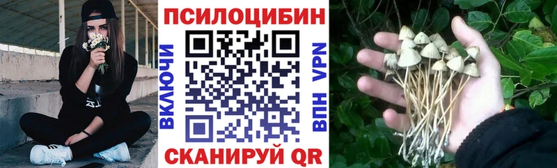 Псилоцибиновые грибы Cubensis Гусиноозёрск