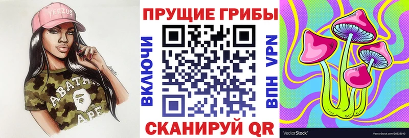 Галлюциногенные грибы Cubensis  Купить  Гусиноозёрск 